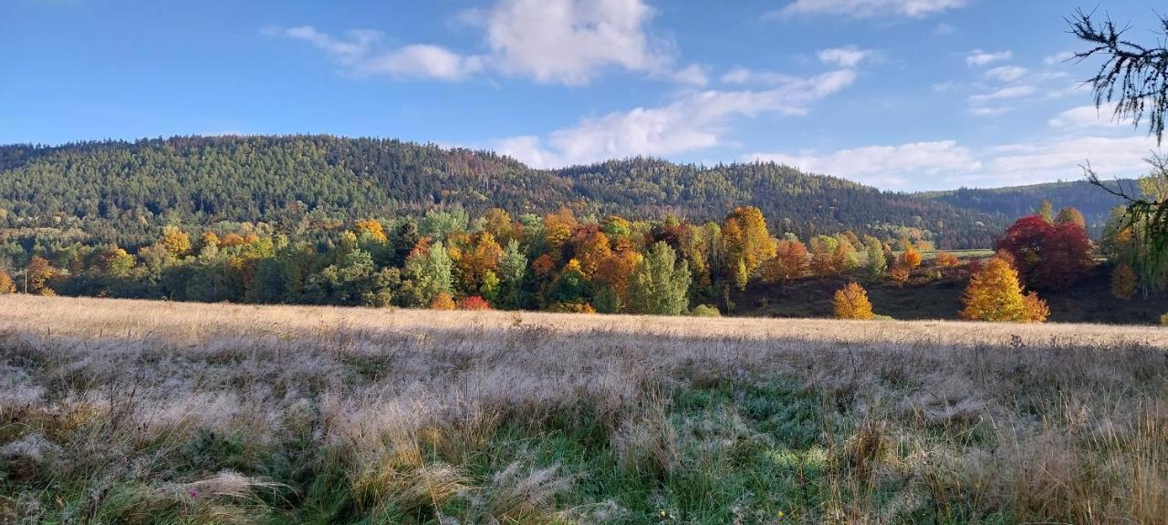 Domki Pod Sudeckim Niebem Villa Duszniki Zdrój Exterior foto